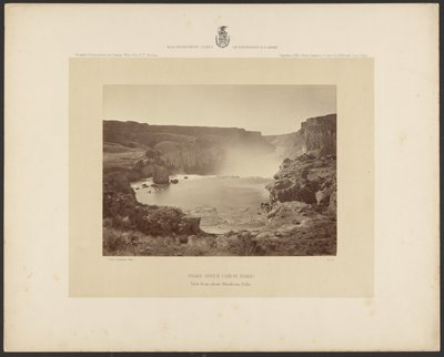 Snake River Cañon, Idaho, udsigt fra over Shoshone Falls af Timothy H. OSullivan