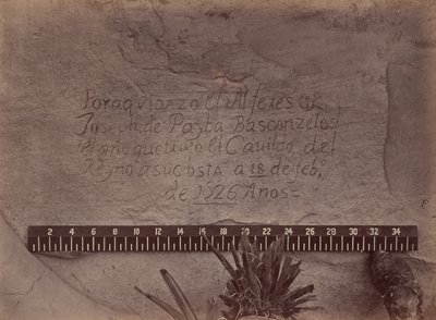 Geografiske og geologiske udforskninger og undersøgelser vest for den 100. meridian af Timothy O