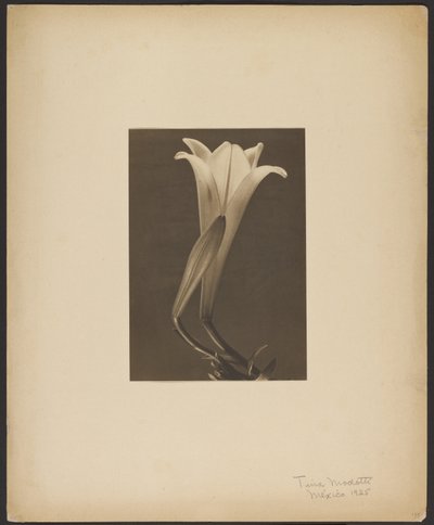 Nr. 1. af Tina Modotti