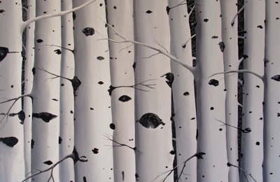 Birch Trees, 2017 (akryl på lærred) af Tina Palmer
