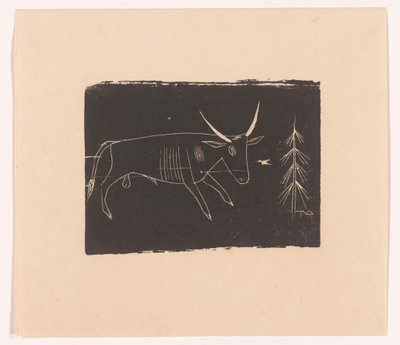 Stier af Tinus van Doorn (signed by artist)