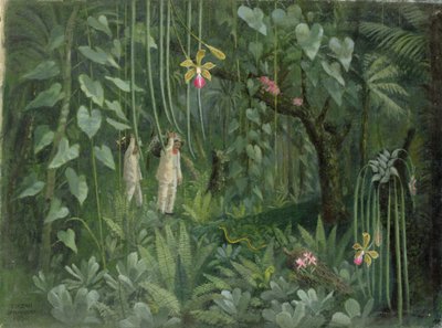 Orkidéjægere fra Brasilien af Tirzah Ravilious