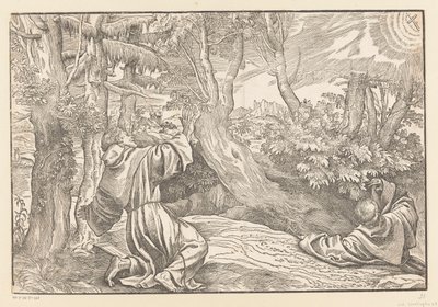 Saint Francis modtager stigmata af Titiaan