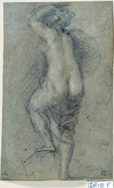 Nøgen kvinde (kridt på papir) af Titian (c.1488 1576)