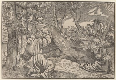 Saint Francis modtager Stigmata af Titian