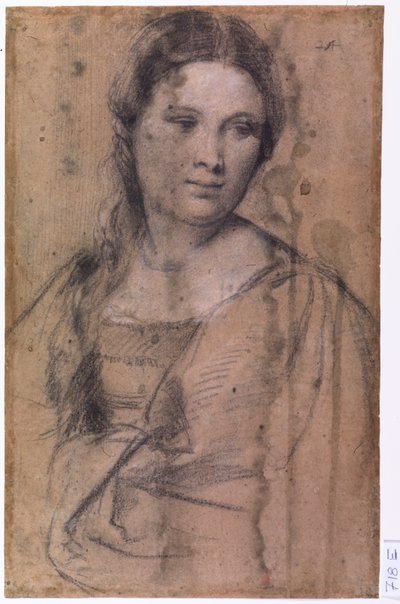 Portræt af en ung pige af Tiziano Vecelli