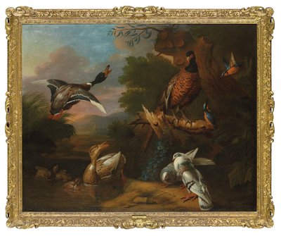 En fasan, duer, ællinger og isfugle med en gråand, der flyver ved en skovklædt pool, et landskab udenfor (olie på lærred) af Tobias (circle of) Stranover