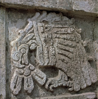 Relief af en ørn, Quetzalcoatls tempel af Toltec Toltec