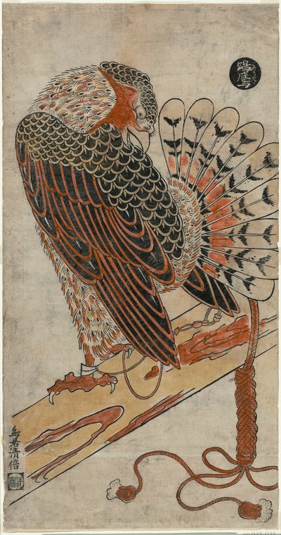 Sparrowhawk (Konori Taka) af Torii Kiyomasu I