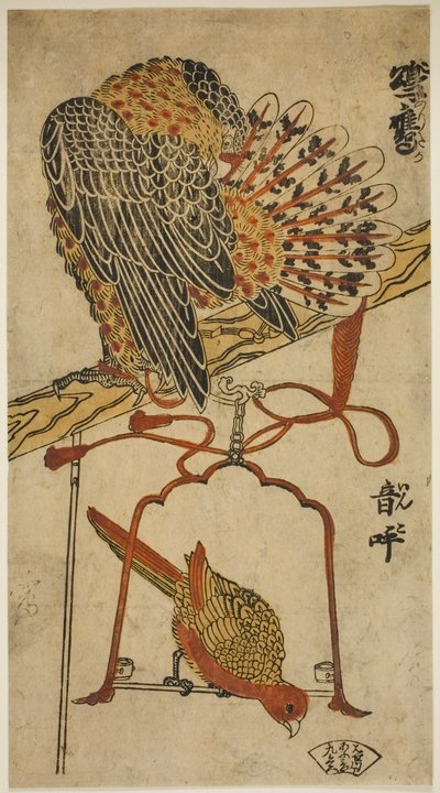 Sparrowhawk and Macaw (Sparrowhawk and Macaw) af Torii Kiyomasu I