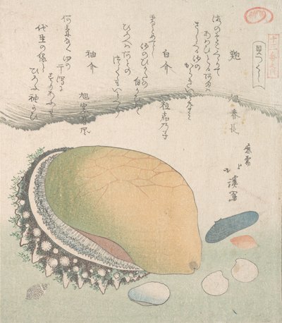 Awabi øreskall og forskellige skaller, 1800-tallet. af Totoya Hokkei