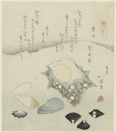 Lilla skal, ferskvandsmuslinger og en turbanskal Murasakigai shijimi sazae (titel på objekt) En serie af skaller (serietitel) Kaitsukushi (serietitel på objekt) af Totoya Hokkei