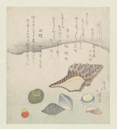 Refleksskal, elfenbensskal og tritonskal Utsusegai baishi hora (titel på objekt) En serie af skaller (serietitel) Kaitsukushi (serietitel på objekt) af Totoya Hokkei