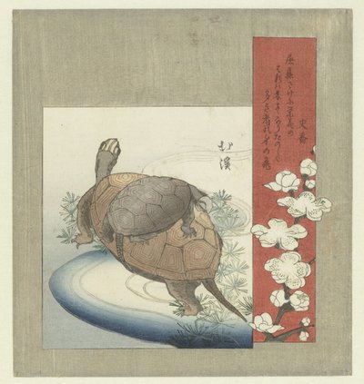 skildpadder af Totoya Hokkei