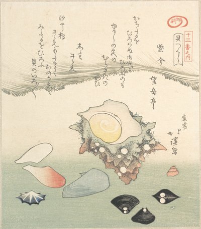 Top-Shell og forskellige skaller, 1800-tallet. af Totoya Hokkei