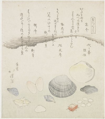 Glemt skal, blommeblomstskal og kirsebærskal Wasuregai, umenohanagai, sakuragai (titel på objekt) En serie af skaller (serietitel) Kaitsukushi (serietitel på objekt) af Totoya Hokkei