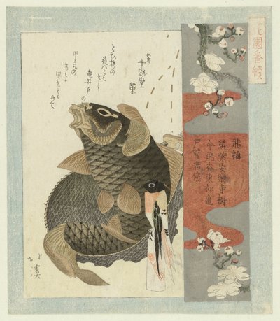 flyvende blomme Tobiume (titel på objekt) En serie for Hanazono Poetry Society (serietitel) Hanazono bantsuzuki (serietitel på objekt) af Totoya Hokkei