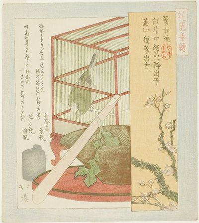 Warbler i et bur, fra serien "A Series for the Hanazono Group (Hanazono bantsuzuki)" af Totoya Hokkei