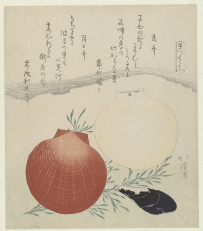 Ferskvandsmusling og japansk sol-og-måne-muslingskal Karasugai tsukihigai (titel på objekt) En serie af skaller (serietitel) Kaitsukushi (serietitel på objekt) af Totoya Hokkei
