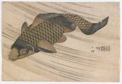 Carp Swimming Upstream, Edo-periode, midten af 1820