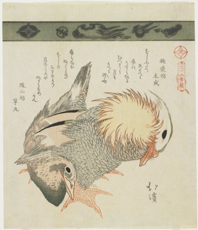 Mandarin Duck og Drake, ca. 1830 af Toyota Hokkei