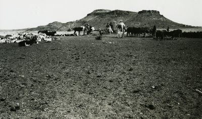 Udsigt over det arkæologiske område Naqa med dromedarer og kvæg, Sudan, foto af Ugo Monneret de Villard af Ugo Monneret de Villard