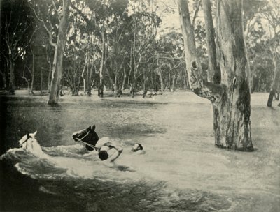 En bankmand, 1901. af Unbekannt