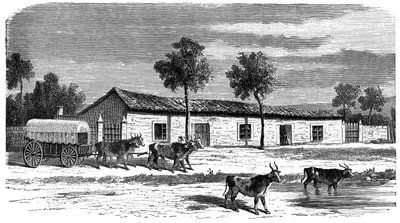 A Boer farm, Sydafrika, c1890 af Unbekannt