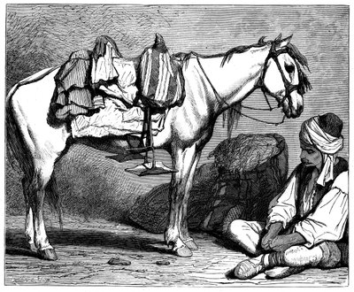 En bosnisk bonde, c1890 af Unbekannt