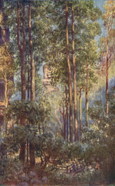 En Bush Valley i New South Wales, 1923. af Unbekannt