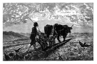 En fransk landbruger, c1890 af Unbekannt