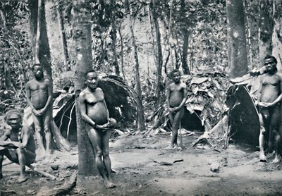 En pygmælandsby, North-East Congo Basin, 1912 af Unbekannt