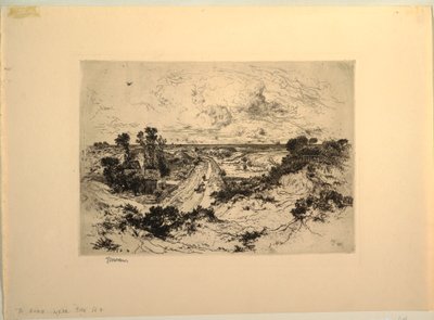 En vej tæt på havet, East Hampton, New York af Unbekannt