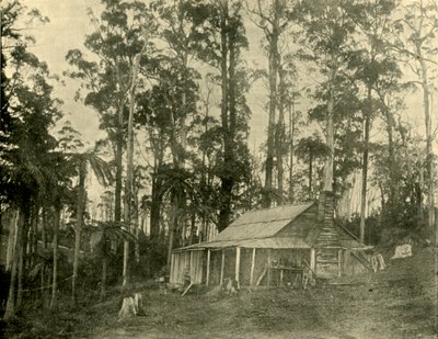 En rustik bolig, 1901. af Unbekannt