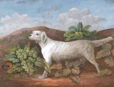 En setter: Venstre til venstre, med en patridge, der gemmer sig blandt burdocks til venstre, ca. 1805. af Unbekannt