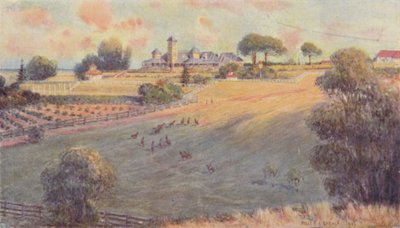 A Station Homestead, 1923. af Unbekannt