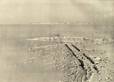 En typisk sprække på jævn overflade, c1908, 1909. af Unbekannt