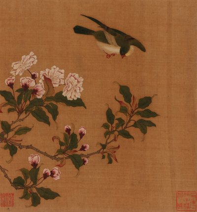 En fugl, der svæver over blomstrende grene, Qing-dynastiet, 1700-tallet. af Unbekannt