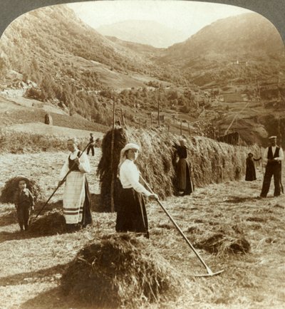En bondefamilie laver hø på en solrig mark mellem bjergene, Roldal, Norge, c1905. af Unbekannt