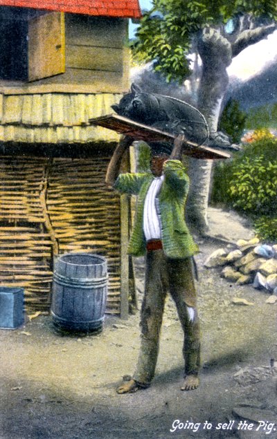 En mand på vej til markedet for at sælge en gris, Jamaica, omkring 1900-tallet af Unbekannt
