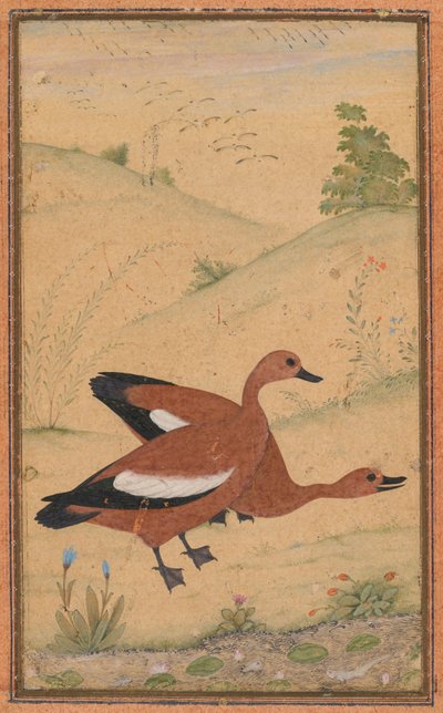 Et par brahminænder, ca. 1595, grænser tilføjet sandsynligvis 1800-tallet. af Unbekannt