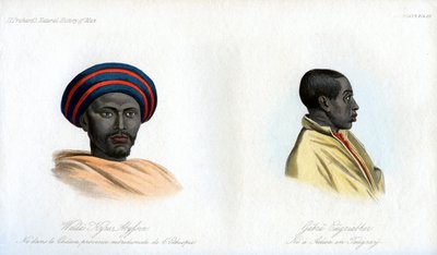 Abessiniske portrætter, 1848 af Unbekannt