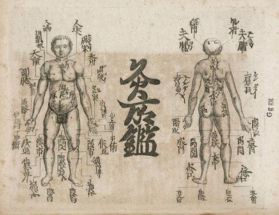 Akupunkturkort over menneskekroppen, der viser moxibustionspunkter (Moxabustion-diagram, der viser, hvor aber bør undgås af Unbekannt