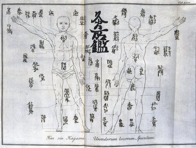 Akupunktur: kort over den menneskelige krop, der angiver moxibustionspunkter, Japan (diagram relateret til moxa, c 1690) af Unbekannt