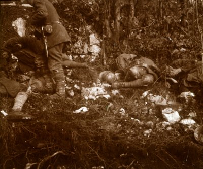 Eftervirkninger af slaget, c1914-c1918 af Unbekannt