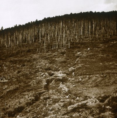 Alsace, c1914-c1918 af Unbekannt