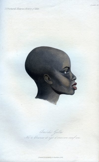 Amochi Galla, et portræt af en Galla, 1848 af Unbekannt
