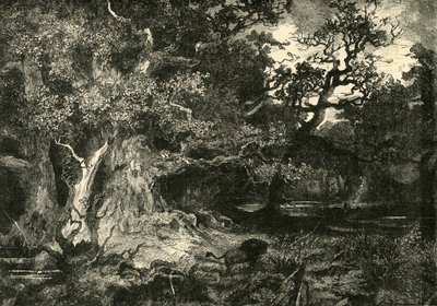 En gammel tysk skov, 1890. af Unbekannt