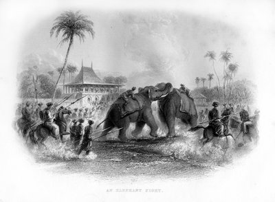 En elefantkamp, Indien, 1800-tallet af Unbekannt