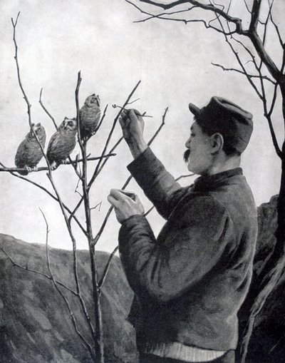 En original skyttegravsdekoration, Frankrig, Første Verdenskrig, 1915 af Unbekannt